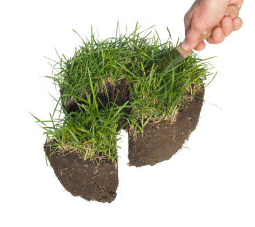 Раздел участка в Москве